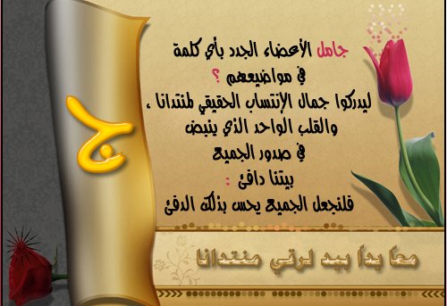 صورة