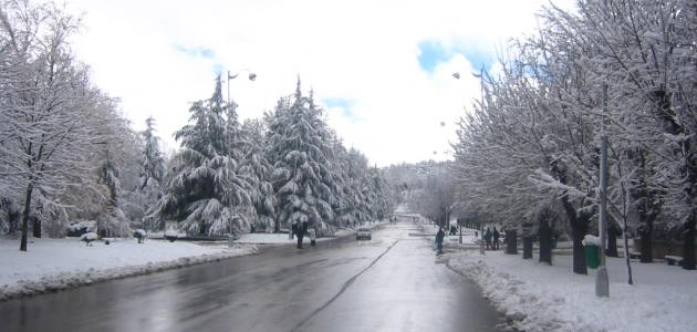 اضغط هنا لتكبير الصوره
