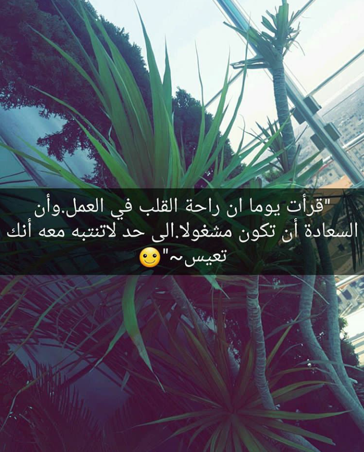 ���� ���� ������ �� ���� ������