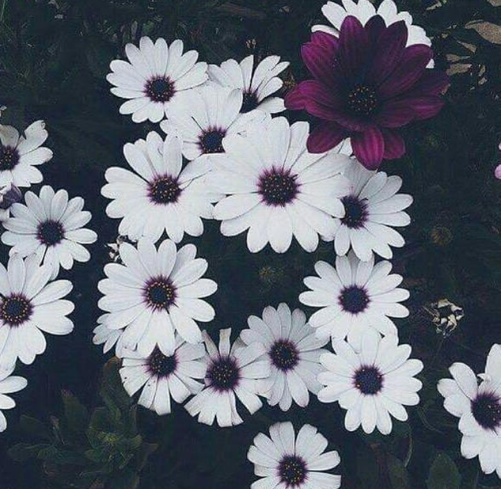 ���� ���� ������ �� ���� ������