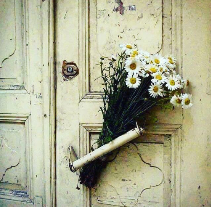 ���� ���� ������ �� ���� ������