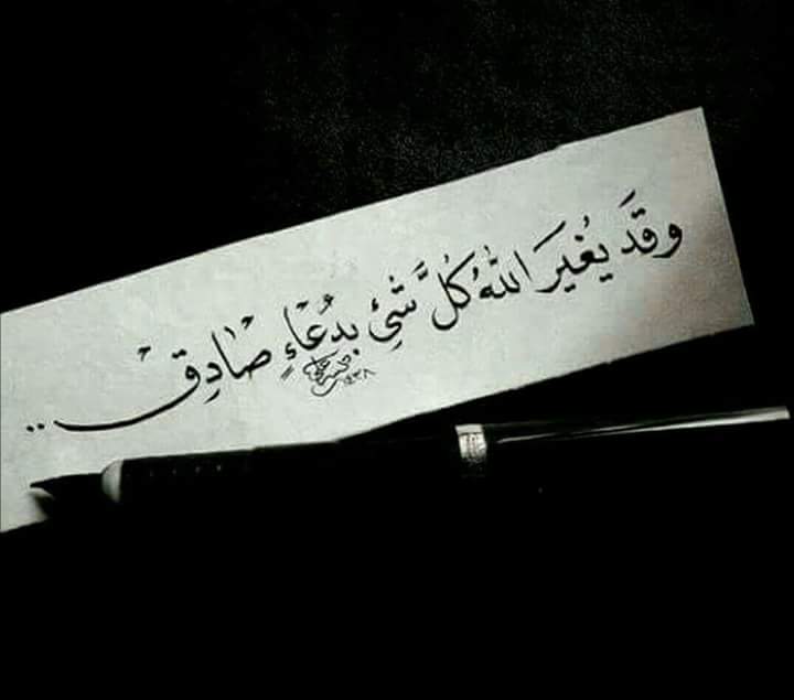 ���� ���� ������ �� ���� ������