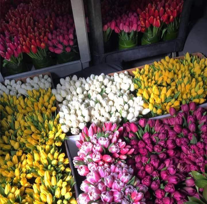 ���� ���� ������ �� ���� ������