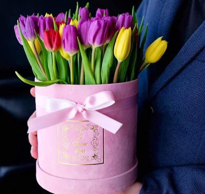 ���� ���� ������ �� ���� ������