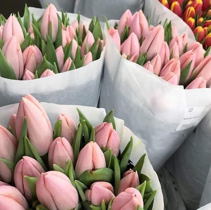 ���� ���� ������ �� ���� ������