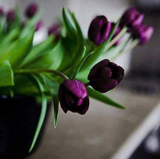 ���� ���� ������ �� ���� ������