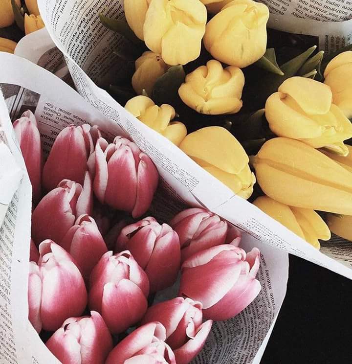 ���� ���� ������ �� ���� ������