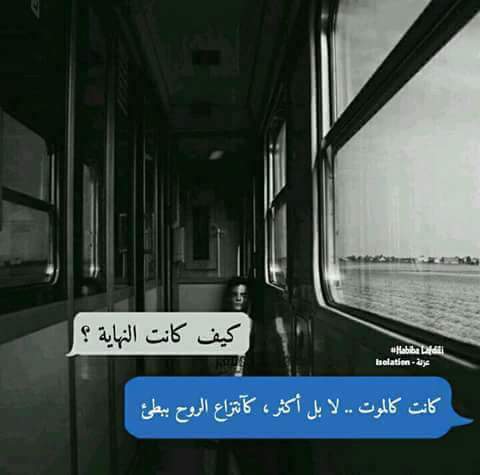 ���� ���� ������ �� ���� ������