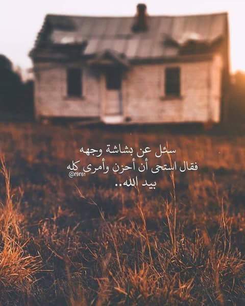 ���� ���� ������ �� ���� ������