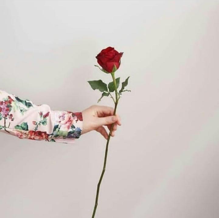 ���� ���� ������ �� ���� ������