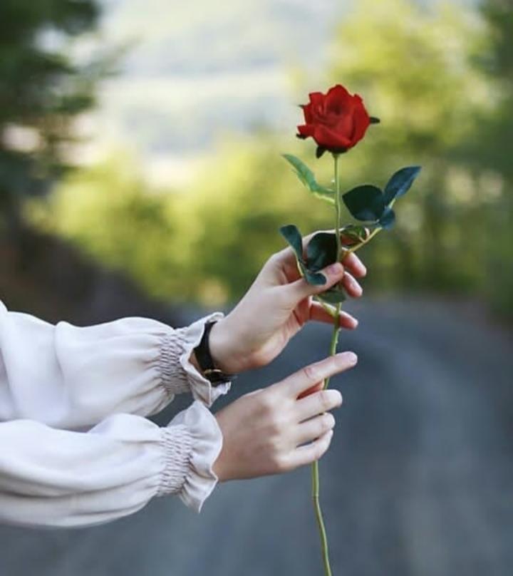 ���� ���� ������ �� ���� ������