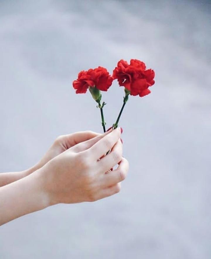 ���� ���� ������ �� ���� ������