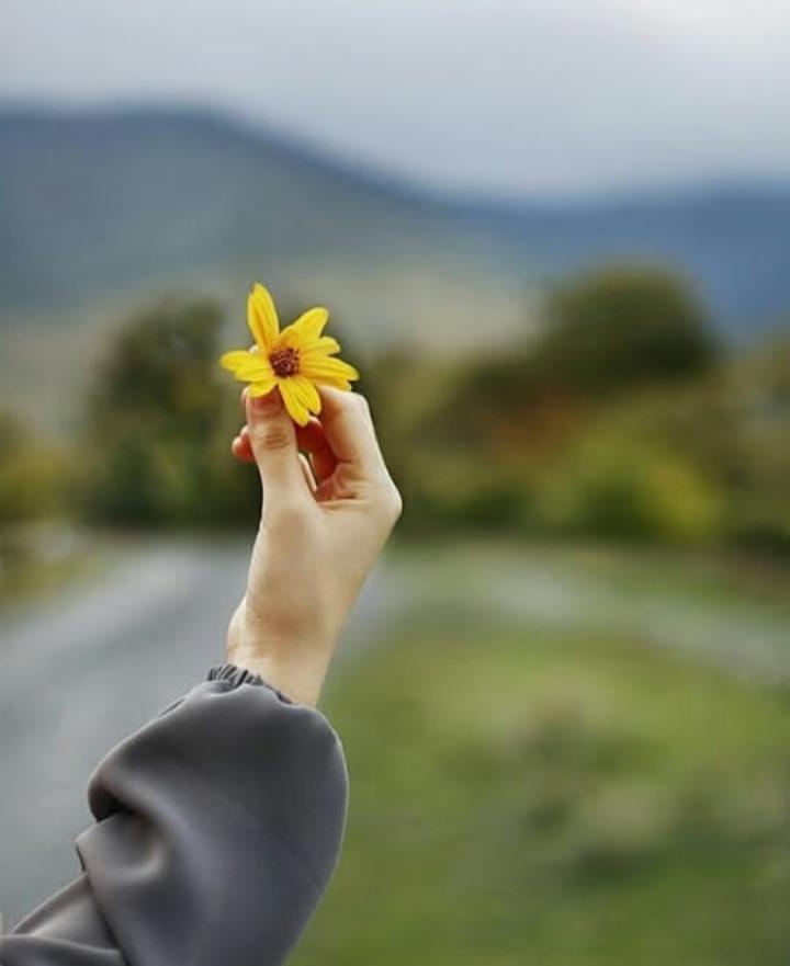 ���� ���� ������ �� ���� ������