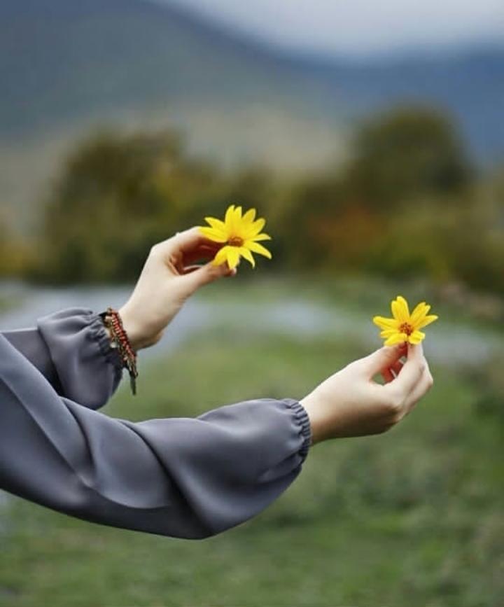 ���� ���� ������ �� ���� ������