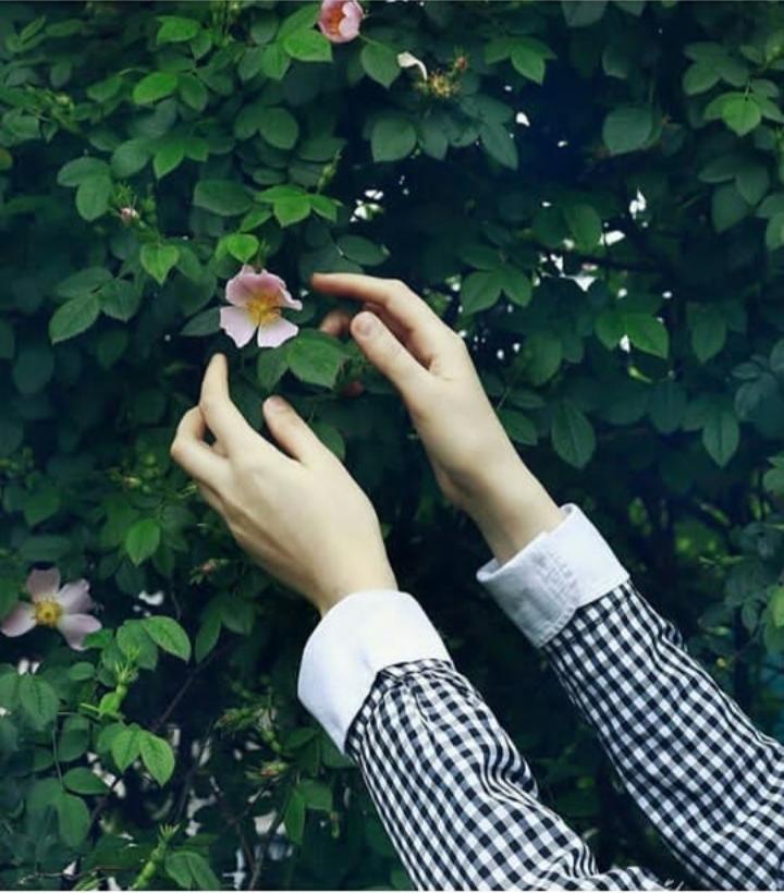 ���� ���� ������ �� ���� ������