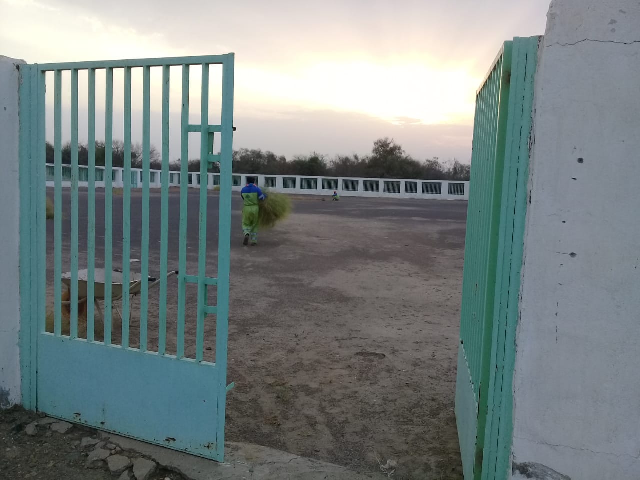 image image