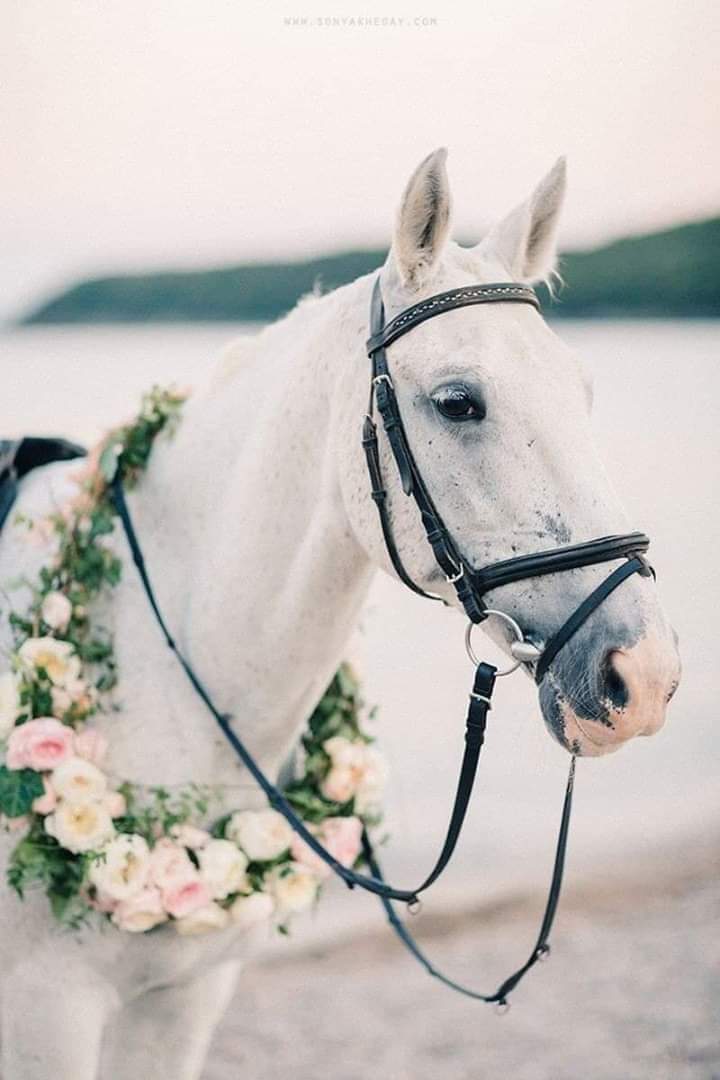 ���� ���� ������ �� ���� ������