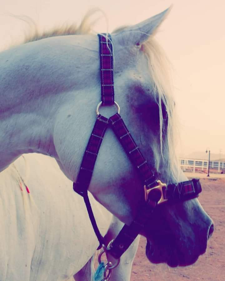 ���� ���� ������ �� ���� ������