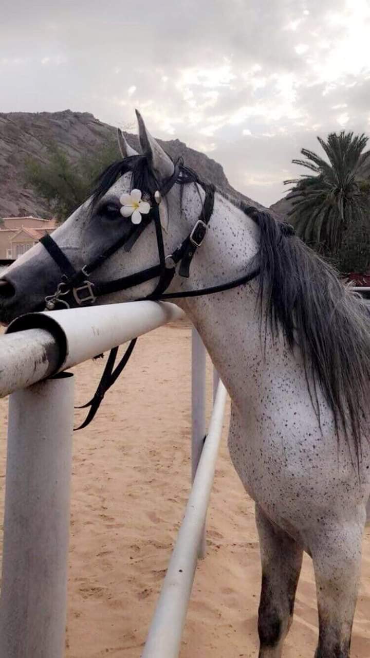 ���� ���� ������ �� ���� ������