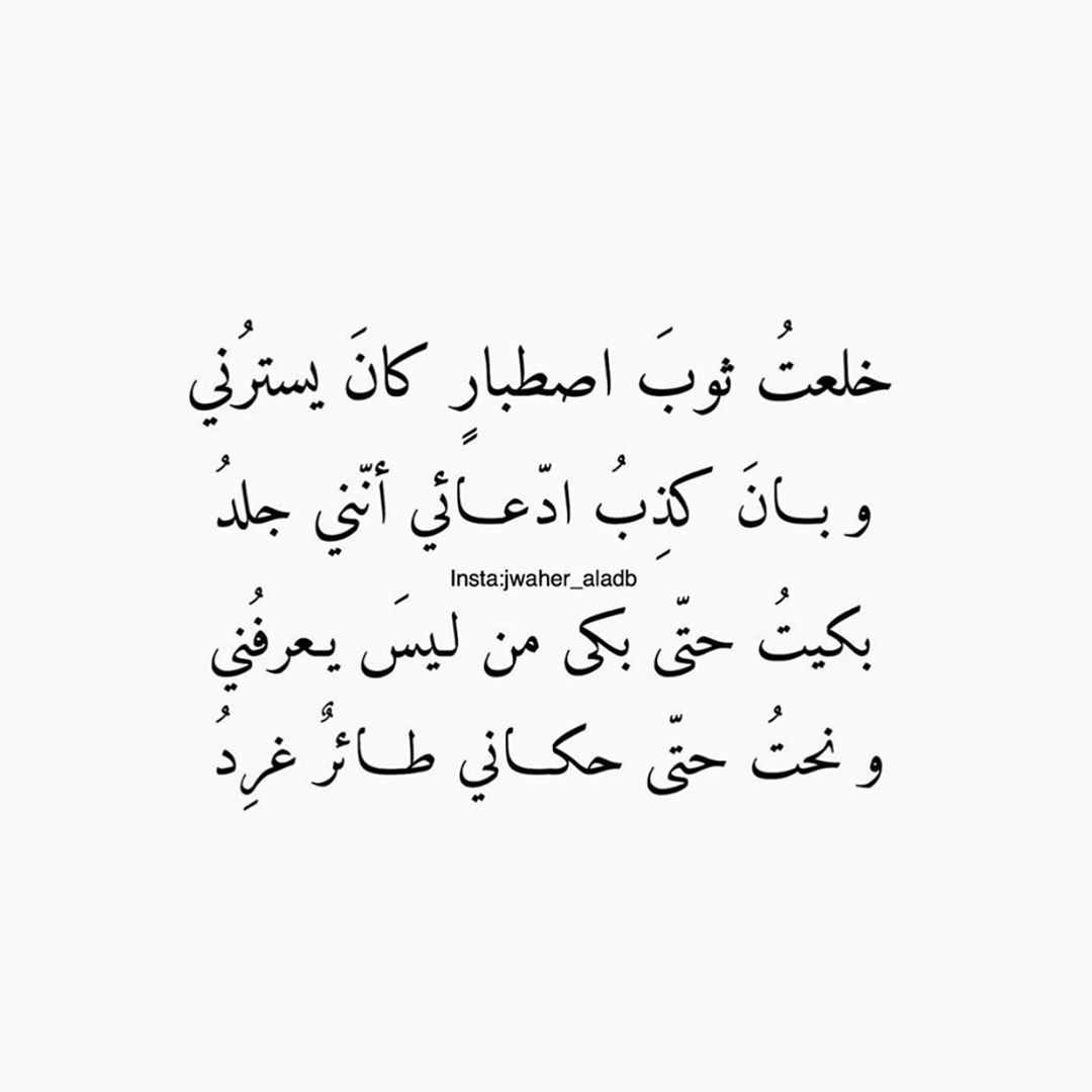 ���� ���� ������ �� ���� ������