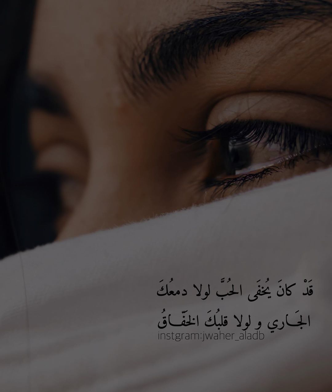 ���� ���� ������ �� ���� ������