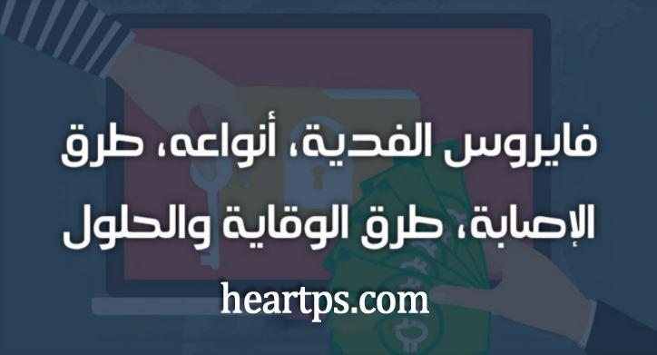 ���� ���� ������ �� ���� ������