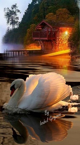 ���� ���� ������ �� ���� ������