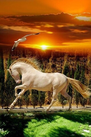 ���� ���� ������ �� ���� ������