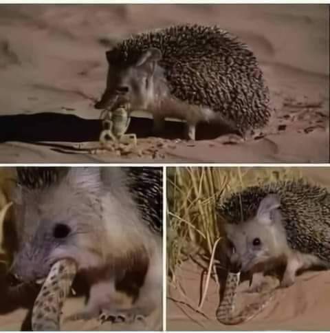 ���� ���� ������ �� ���� ������