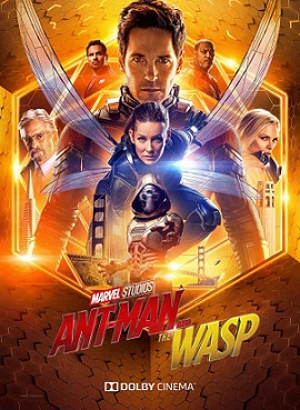 الفيلم الاجنبي ANT-MAN AND THE WASP مترجم مشاهدة اون لاين 901063312
