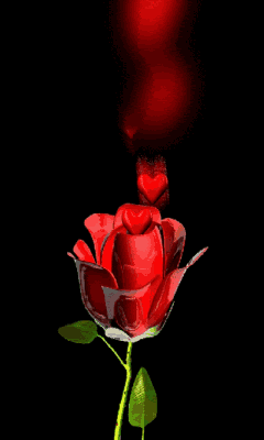    316552870.gif
