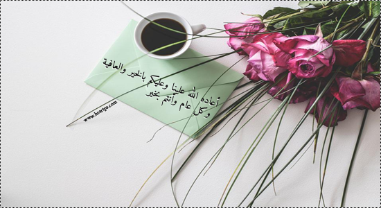 نقره لعرض الصورة في صفحة مستقلة