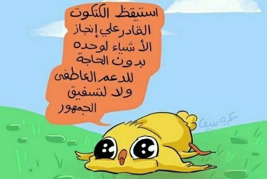 ���� ���� ������ �� ���� ������