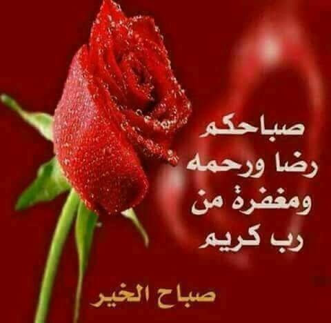 ���� ���� ������ �� ���� ������