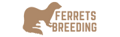 Ferrets Breeding