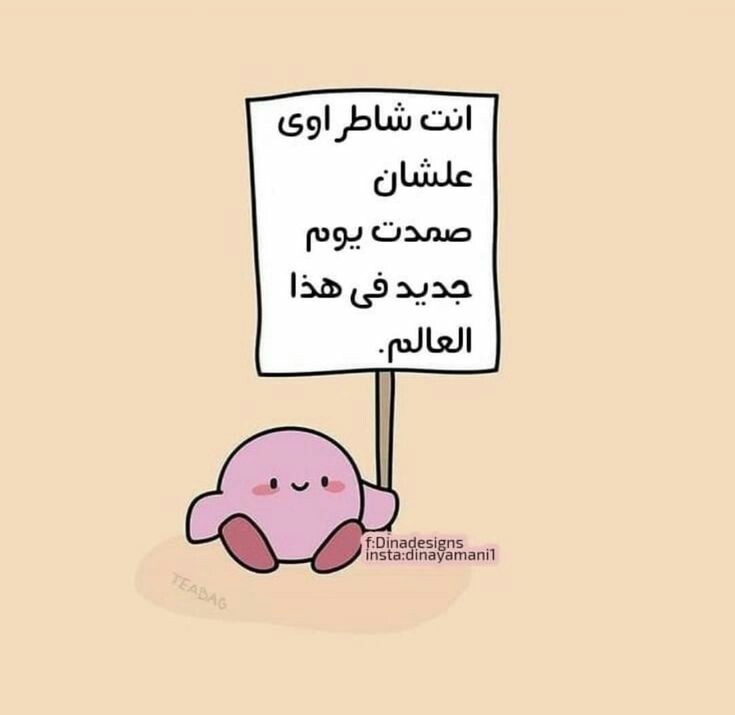 ���� ���� ������ �� ���� ������