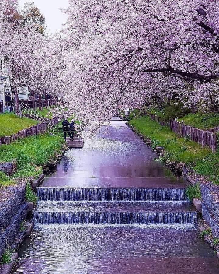 ���� ���� ������ �� ���� ������