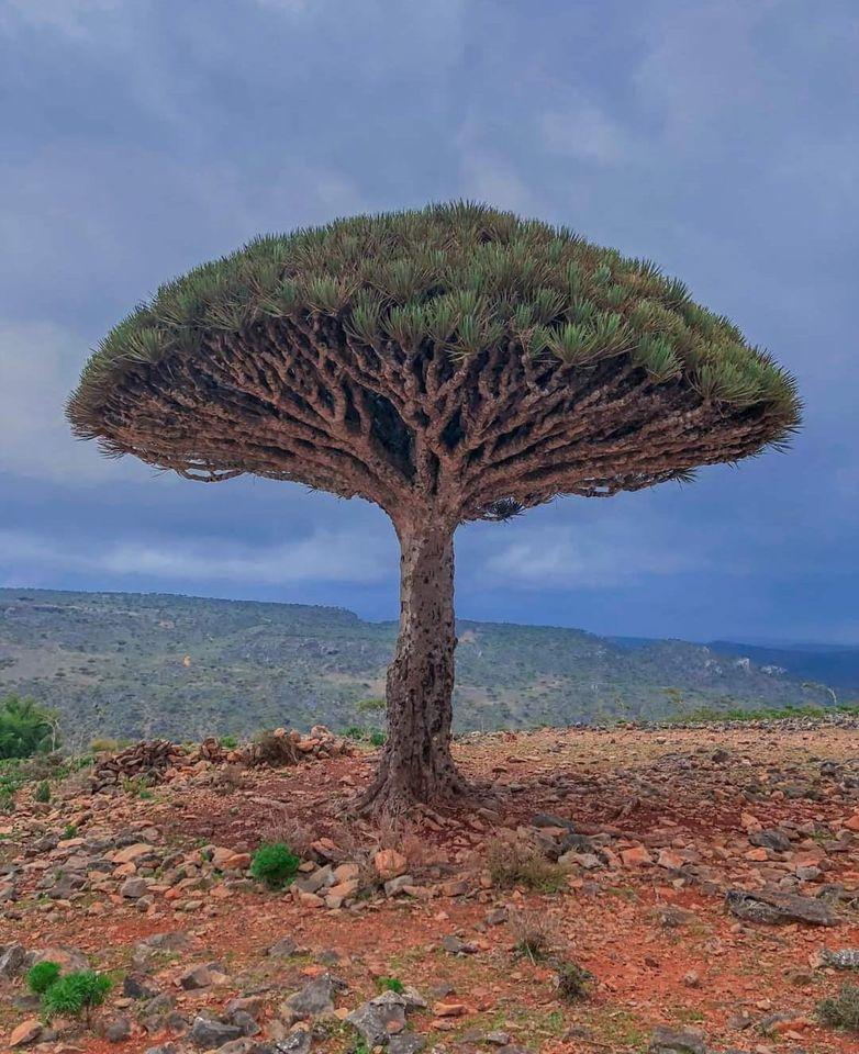 ���� ���� ������ �� ���� ������