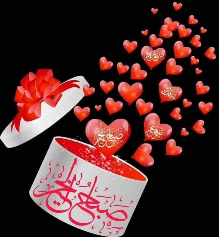 ���� ���� ������ �� ���� ������