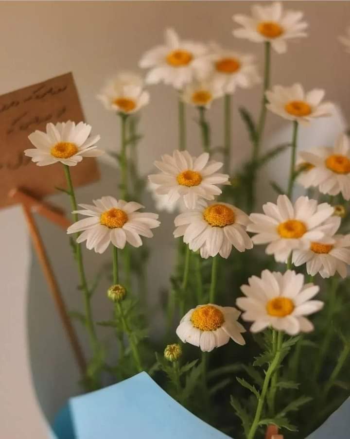 ���� ���� ������ �� ���� ������