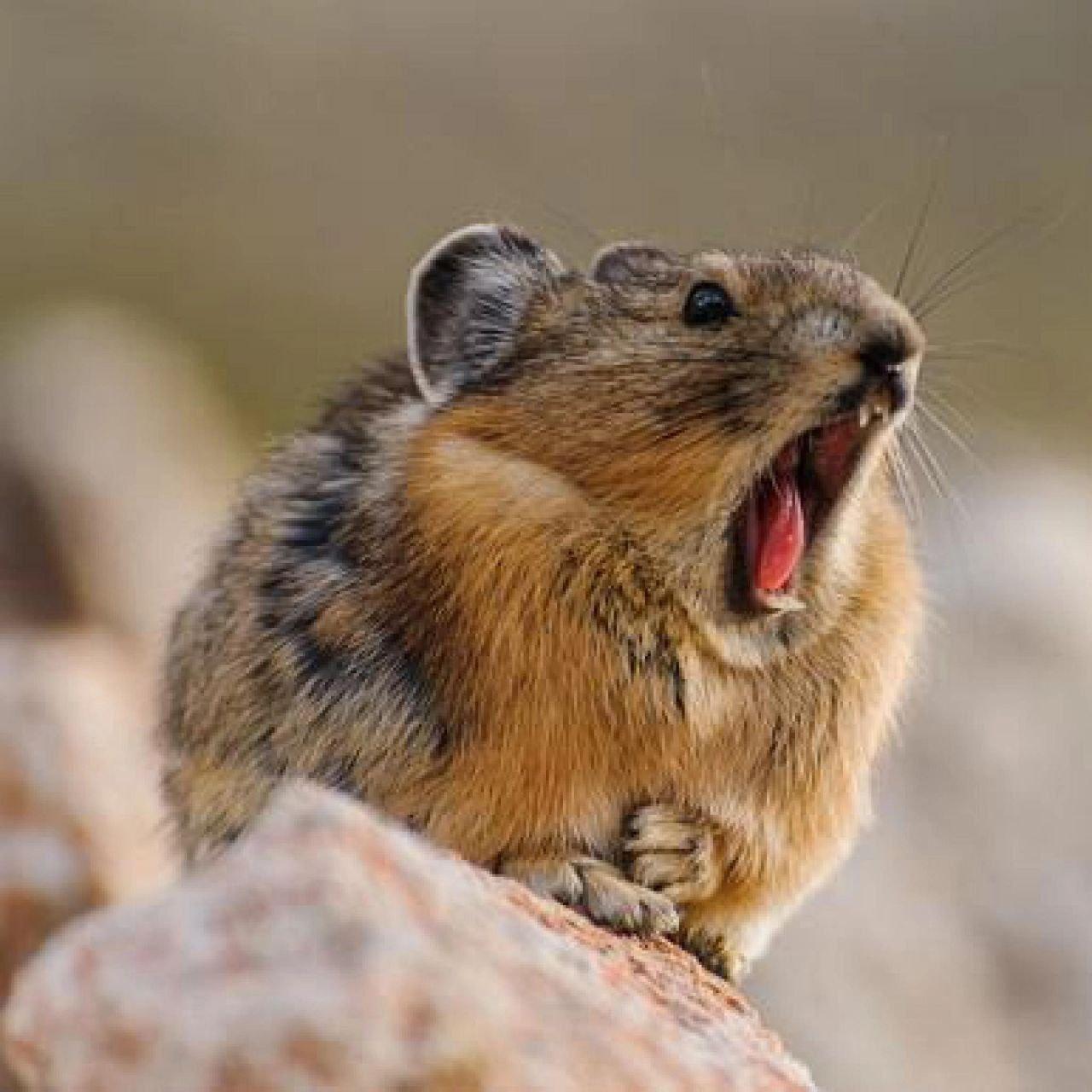 ���� ���� ������ �� ���� ������