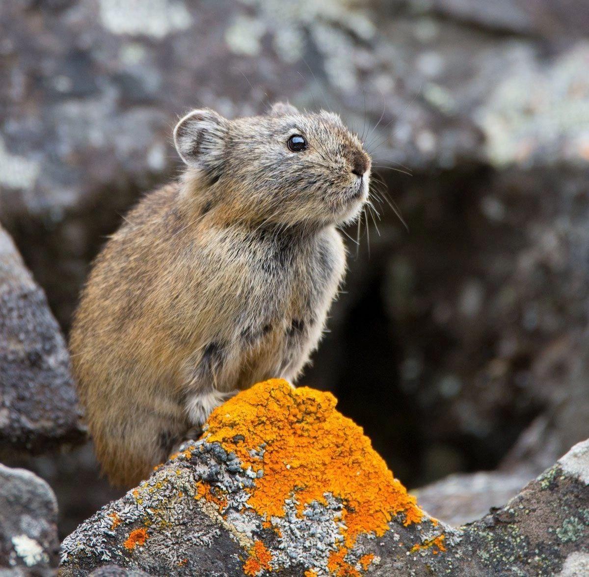 ���� ���� ������ �� ���� ������