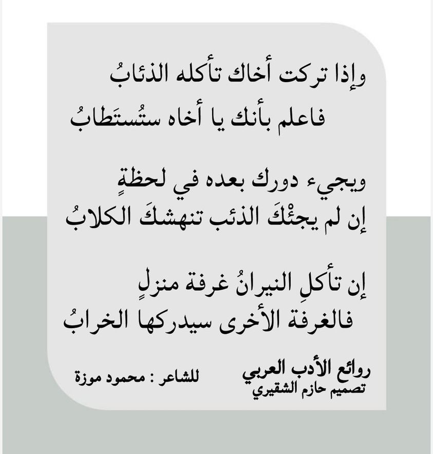 ���� ���� ������ �� ���� ������