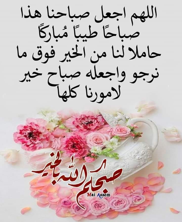 ���� ���� ������ �� ���� ������