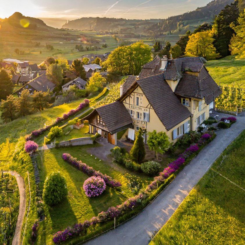 ���� ���� ������ �� ���� ������