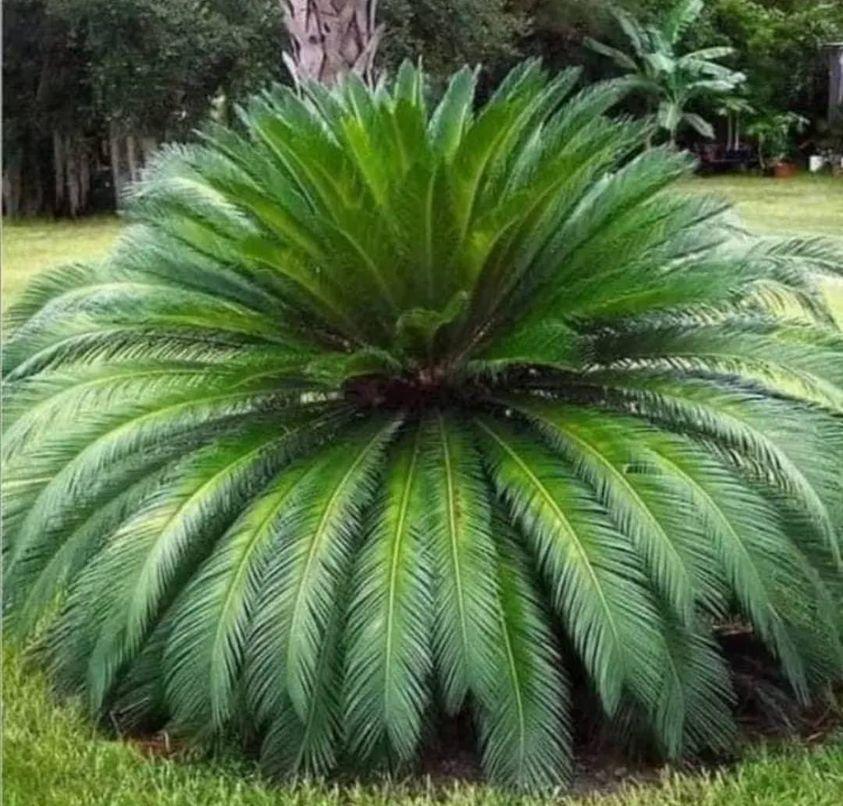 ���� ���� ������ �� ���� ������