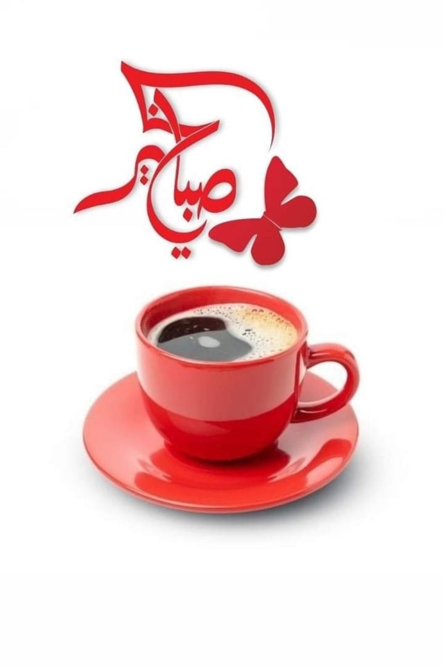 ���� ���� ������ �� ���� ������